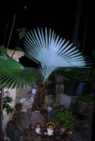 JPG 1071x1600 1021.4kb