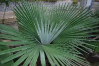 JPG 1600x1071 1257.1kb