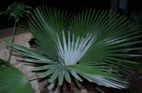 JPG 1600x1049 1096.9kb