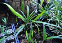 JPG 1200x840 976.4kb