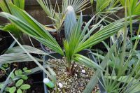 JPG 1200x797 902.0kb