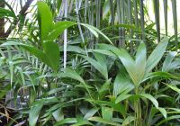 JPG 2100x1470 2124.0kb