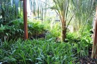 JPG 1200x797 1402.6kb