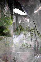 JPG 797x1200 606.4kb