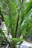 JPG 797x1200 922.1kb