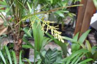 JPG 1200x797 657.7kb