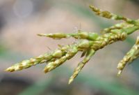 JPG 1200x818 541.9kb