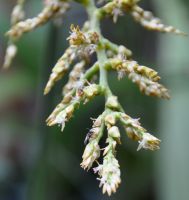 JPG 1377x1458 869.4kb