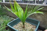 JPG 1400x930 1272.3kb