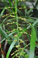 JPG 797x1200 706.0kb