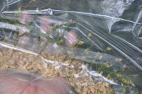 JPG 1200x797 661.0kb