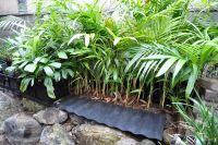 JPG 1400x930 1482.5kb