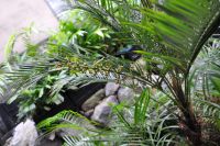 JPG 1200x797 855.6kb