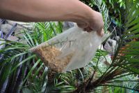 JPG 1200x797 811.7kb