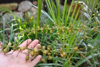 JPG 1400x930 939.0kb