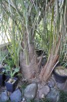 JPG 930x1400 1331.5kb