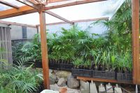 JPG 1200x797 993.3kb