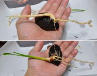 JPG 1400x1098 788.9kb