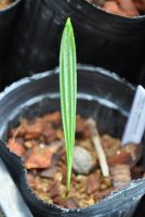 JPG 671x1000 356.9kb