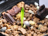 JPG 1014x771 557.7kb