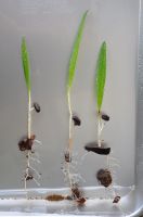 JPG 1053x1600 851.1kb