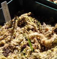 JPG 1863x1938 2033.8kb