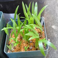 JPG 1000x998 697.2kb