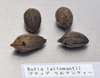 JPG 1329x1032 643.4kb