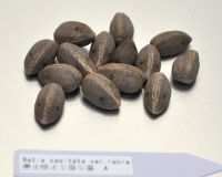 JPG 1677x1344 1054.8kb