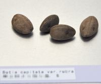 JPG 1185x990 599.8kb