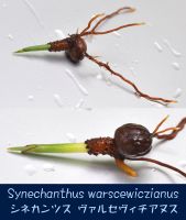 JPG 1200x1419 740.8kb