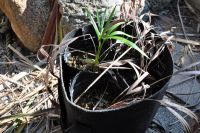 JPG 1200x797 866.1kb