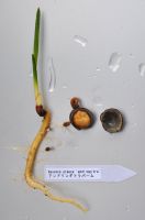 JPG 791x1200 473.5kb