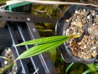 JPG 4000x3000 2868.5kb