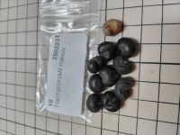 JPG 4000x3000 3566.8kb