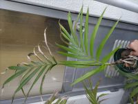 JPG 4000x3000 2607.1kb