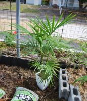 JPG 1033x1200 1068.6kb