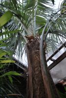 JPG 803x1200 1006.4kb