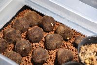 JPG 1200x797 896.3kb