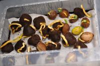 JPG 1200x797 744.3kb