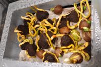 JPG 1000x664 623.1kb