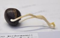 JPG 1000x646 305.8kb