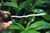 JPG 1000x664 353.7kb