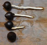 JPG 1000x952 571.1kb