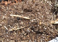 JPG 1000x728 936.7kb