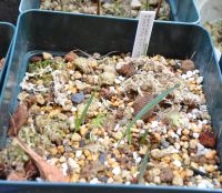 JPG 1000x870 787.3kb