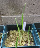 JPG 839x1000 793.8kb