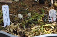 JPG 1000x646 491.0kb