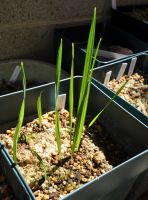 JPG 1928x2612 2695.8kb