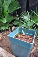 JPG 664x1000 709.8kb